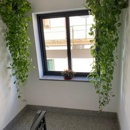 Guest house Residence San Pietro Book Sharing