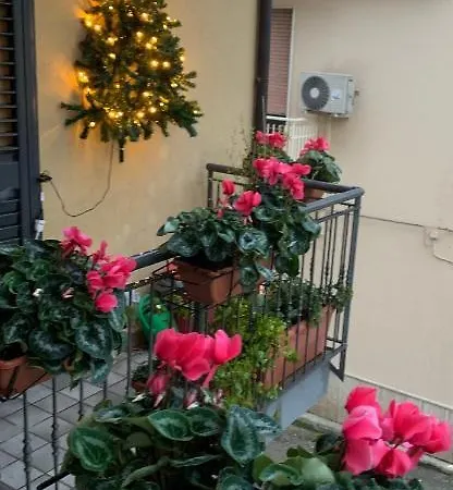 San Pietro Book Sharing Vendégház 4*